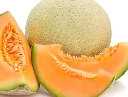 Kandungan Nutrisi Buah Melon Dapat Cegah Hipertensi