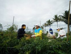 Gustiadi Dorong Peran Petani dalam Pembangunan Bengkulu