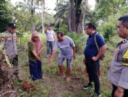 Warga Seluma Temukan Bayi Sudah Dikerumuni Semut