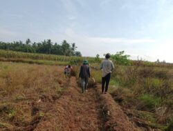 Keluhan Para Petani Kota Bengkulu