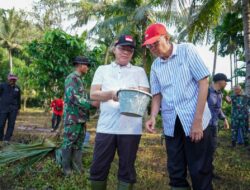 Seluas 800 Hektar Lahan Sawah di Enggano Bakal Diusulkan Ke Kementerian Pertanian