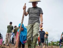 Dengan Tanam Padi Gogo, Warga Enggano Tak Perlu Lagi Beli Beras di Luar Pulau