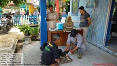 Ayo Segera Vaksinasi Peliharaan Anda, Pemkot Bengkulu Siapkan Vaksin Gratis