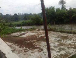 Jadi Sorotan, Proyek Infrastruktur Dusun Sawah Rejang Lebong Terbengkalai