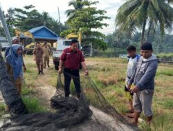 Pemprov Bengkulu Bakal Bagikan Tiga Ton Ikan Bandeng Gratis, Catat Tanggalnya