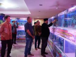 Kontes Ikan Louhan Ajang Promosi Eduwisata dan Pengembangan Usaha Mikro